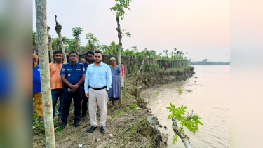 ভেড়ামারায় পদ্মার ভাঙনে বিলীন ২৫ হেক্টর কৃষিজমি, শতবিঘা পানের বরজ