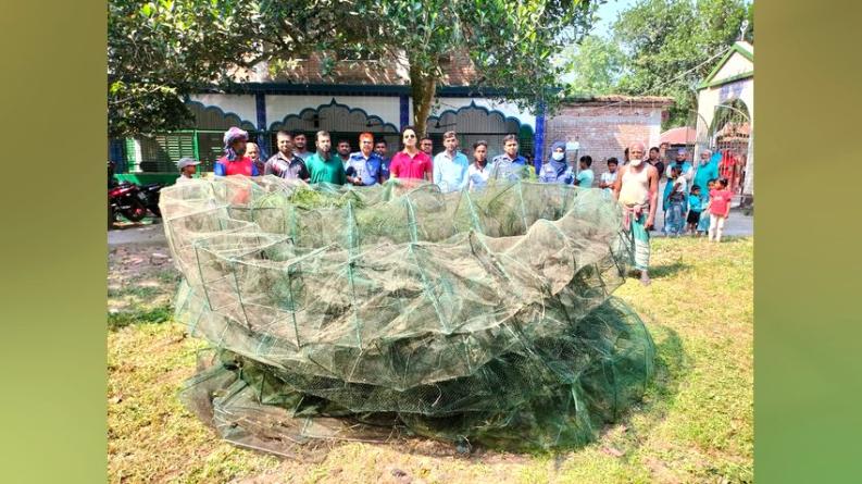 ভেড়ামারায় ২ লাখ ৮২ হাজার টাকার নিষিদ্ধ চায়না দুয়ারি জাল ধ্বংস
