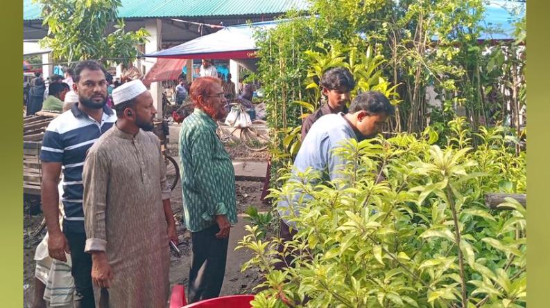 পাইকগাছার গদাইপুরে ৫০০ নার্সারির চারা যাচ্ছে দেশজুড়ে