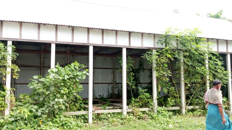 পীরগঞ্জে মোবারক আলী চক্ষু হাসপাতালের বিনামূল্যে চক্ষু চিকিৎসা ক্যাম্প