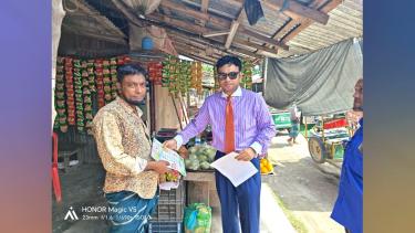 লালমোহনে বাড়ছে ডেঙ্গুর প্রকোপ, প্রতিরোধে মাঠে স্বাস্থ্য কর্মকর্তা