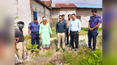 ভেড়ামারায় ২৭ কেজি নিষিদ্ধ আফ্রিকান মাগুর জব্দ, বিক্রেতাকে জরিমানা