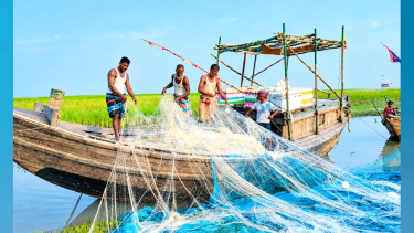 লালমোহনে বরাদ্দের চাল পাননি ১৬ হাজার ৫৭৫ জেলে, দুর্ভোগে পরিবার