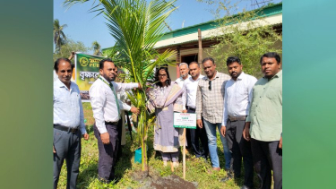 কাউখালীতে পাঁচ শতাধিক গাছের চারা রোপণ ও বিতরণ করবে পূবালী ব্যাংক