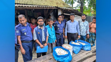 পিরোজপুরে অস্বাস্থ্যকর আইসক্রিম তৈরিতে কারখানাকে ২০ হাজার টাকা জরিমানা