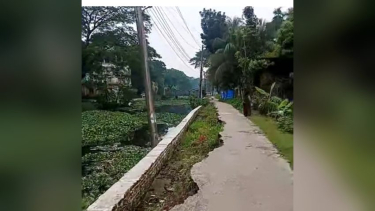 খাল খননে ধসে পড়ছে চরফ্যাশনের পাকা সড়ক, দুর্ঘটনার শঙ্কা