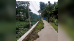 খাল খননে ধসে পড়ছে চরফ্যাশনের পাকা সড়ক, দুর্ঘটনার শঙ্কা