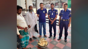 কাউখালীতে ২৫ কেজি লবণ মাখা ইলিশ জব্দ, দান করা হলো এতিমখানায়