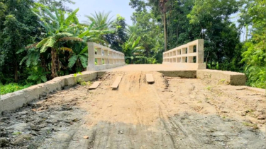 বাউফলে ৩ কোটি ৫৪ লাখ টাকার ৬ সেতুতে চলাচল বন্ধ