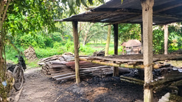ভেড়ামারায় বিশ্বাস নার্সারিতে আগুন, মালিকের দাবি ক্ষতি ৩ লাখ টাকা