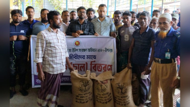 কাউখালীতে ৩১০ জেলে পরিবারকে চাল বিতরণ, সহায়তা বাড়ানোর দাবি