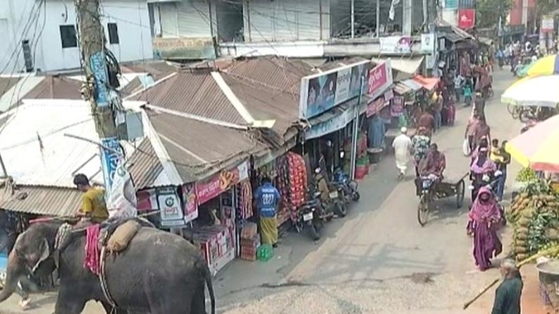 আলফাডাঙ্গা বাজারে হাতি দিয়ে টাকা সংগ্রহ, পাঠানো হয় পুলিশ