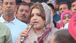 জামায়াতের ভূমিকা নিয়ে শামা ওবায়েদের হুঁশিয়ারি, ফ্যাসিবাদ ফিরলে নিতে হবে দায়
